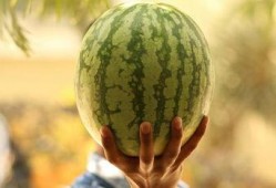 娱乐圈大瓜吃瓜,揭秘明星背后的惊人真相